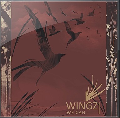 Wingz - We Can [LP] (2011)