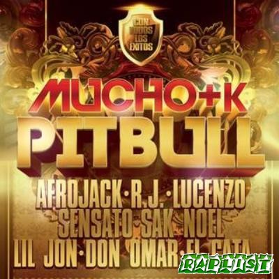 Pitbull - Mucho+K Hits (2012)